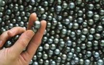 PERLES: Vaste opération anti-rebuts menée par le Ministère des ressources maritimes