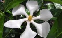 Création d’un comité d’orientation et d’évaluation de la politique agricole