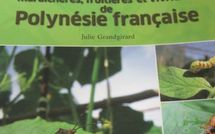 1ER GUIDE DES INSECTES ET ACARIENS DES CULTURES DE PF