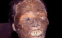 Les têtes maories, un casse-tête pour les musées de Nouvelle-Zélande