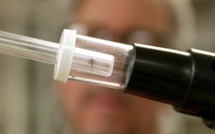 Virus du Nil occidental: restriction et test pour les dons de sang