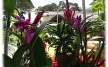 Premier Festival de la fleur du 4 au 14 février