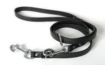 Une dame promenant son compagnon en laisse par le sexe, interpellée à Carcassonne