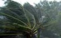 Secours aux sinistrés du cyclone Vania : l’UNICEF en pointe