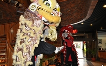 AU CESC, LES LIONS ONT CONJURE LES MAUVAIS SORTS