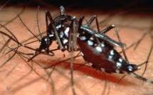 Sanofi parie sur l'avenir du vaccin anti-dengue