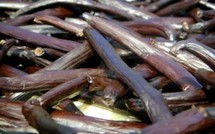 Salon de l'agriculture: La Vanille de Tahiti obtient 3 médailles d’Or!