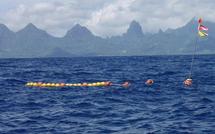 Mouillage de Dispositifs de Concentrations de Poissons aux Tuamotu-est.