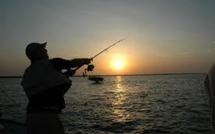 Surveillance de la pêche illicite en Océanie : Wellington veut une alliance de type « ANZUS »