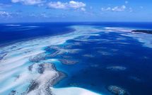 Menace sur les récifs coralliens : l’Océanie en première ligne