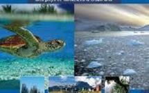 La Polynésie française participe à la conférence ministérielle  et au Forum UE – PTOM en Nouvelle-Calédonie