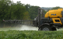 Pesticides: l'Anses interdit les produits à base de métam-sodium