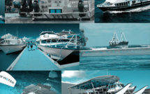 L'avenir des transports en commun se joue-t-il sur l'eau ? 