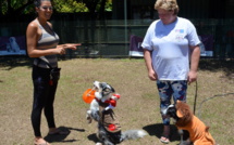 Éducation canine : les conseils de la championne de Polynésie