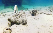 Les mouillages sauvages dénoncés à Huahine