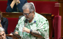 Concession de gestion de Tahiti-Faa'a : le député Brotherson plaide pour les "acteurs locaux"