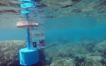 Partez à la découverte du lagon sur le sentier aquatique de Vaiava