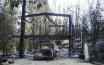 Les incendies en Californie n'ont pas épargné les stars