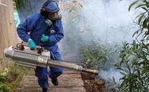 L’émergence du chikungunya en Nouvelle-Calédonie inquiète l’OMS