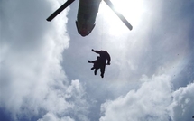 1500 pieds de paka découverts à Raiatea