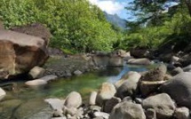 Une femme se noie dans la rivière Mahateaho