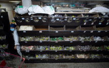 Entre plantes et scorpions, les Chinois attachés à leur médecine traditionnelle