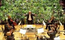 Le Royal Philharmonic de Londres joue pour faire pousser les plantes