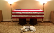 Le chien de George H. W. Bush l'accompagne pour son dernier voyage