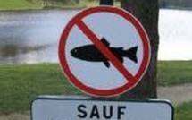 De Carla Bruni à Teddy Riner, le peu croyable cru 2011 des poissons d'avril