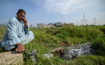 Climat: les champs fertiles du Delta du Nil menacés