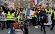Pour le climat, "gilets verts et gilets jaunes" défilent en nombre