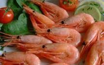 Les journées « crevetticulture 2011 »