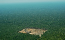 La déforestation en Amazonie sous l'oeil des satellites