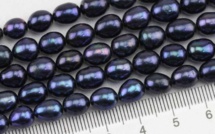 Un label pour les Perles de Tahiti : meilleure défense contre la contrefaçon chinoise