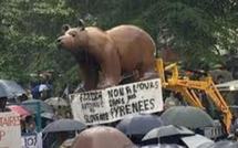 Manifestation dans le Béarn contre la réintroduction de l'ours