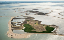 Les Pays-Bas construisent cinq nouvelles îles pour la biodiversité