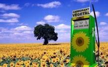 Les biocarburants pourraient représenter 27% des besoins mondiaux en 2050