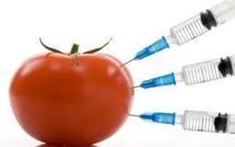 Etre exposée à des pesticides enceinte réduirait le QI des enfants