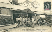 Au pays des nacres