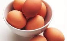 Allergie à l'oeuf : souvent de bonne évolution, n'empêche pas la vaccination