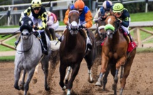 30 Millions d'amis interpelle le monde des courses après une vidéo sur un abattoir de chevaux