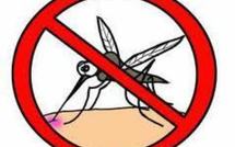 Journée mondiale de lutte contre le paludisme : la guerre du Pacifique est loin d’être finie