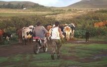 Compte-rendu de la mission de Louis Frebault aux Marquises