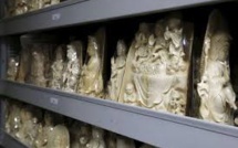 De l'ivoire de mammouth découvert dans des bibelots en ivoire du Cambodge