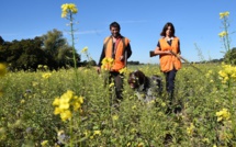 Normandie: polémique autour d'un radar à oiseaux pour les chasseurs financé par la Région