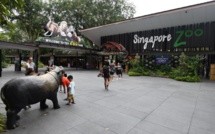 A Singapour, les foudres écologistes sur un projet écotouristique