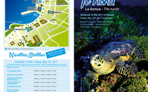 Mahana Pae du vendredi 13 mai : "Te Honu, La Tortue"
