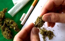 Lutte contre le cannabis : fouilles surprises aux abords des établissements scolaires