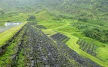 EDF-GDF Suez veut aider la Polynésie à s'orienter vers les énergies renouvelables