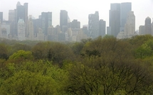 New York: entrée en vigueur lundi de l'interdiction de fumer dans les parcs